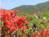 大熊山“五一”邀请你来看风景